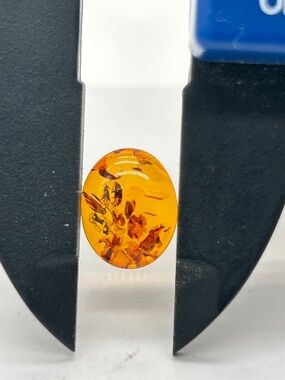 Genuine Baltic Amber Loose Stone